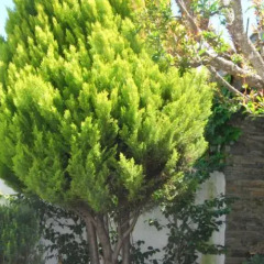 Отель Quinta De Tourais Португалия, Ламего - отзывы, цены и фото номеров - забронировать отель Quinta De Tourais онлайн фото 8