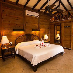 Petit Lafitte Hotel комната для гостей фото 4