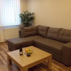Отель Apartman Aleksandra Чехия, Карловы Вары - отзывы, цены и фото номеров - забронировать отель Apartman Aleksandra онлайн комната для гостей фото 3