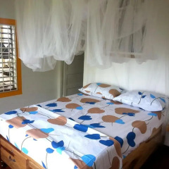 Отель Germaican Hostel Ямайка, Порт Антонио - отзывы, цены и фото номеров - забронировать отель Germaican Hostel онлайн детские мероприятия