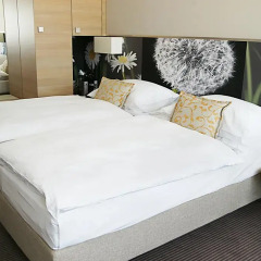 H+ Hotel Zürich 4* Полулюкс с различными типами кроватей фото 2