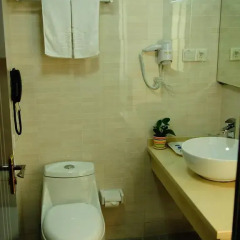 Joyfulstar Hotel Pudong Airport Chenyang 2* Номер Делюкс с различными типами кроватей фото 7