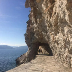 Hotel Ippoliti