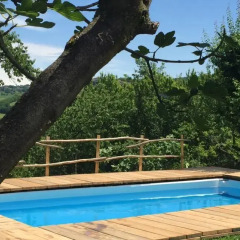 Отель Bacialupo Bed&Breakfast Италия, Сан-Мартино-Сиккомарио - отзывы, цены и фото номеров - забронировать отель Bacialupo Bed&Breakfast онлайн бассейн