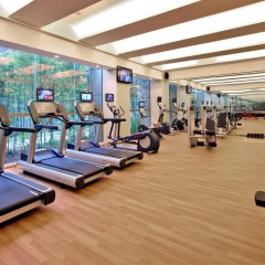 Grand Skylight International Hotel Shenzhen Guanlan Avenue фитнесс-зал фото 2