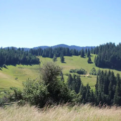 Отель Kutsinska House Болгария, Чепеларе - отзывы, цены и фото номеров - забронировать отель Kutsinska House онлайн спортивное сооружение