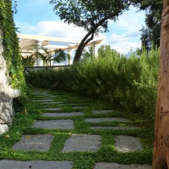 Отель Villa Duchessa d'Amalfi Конка деи Марини фото 2