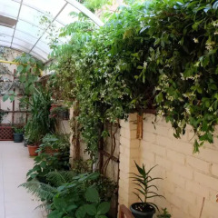 Гостиница AdlerOk Guest House фото 6