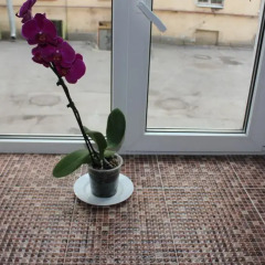 Shtandart Hotel интерьер отеля фото 3