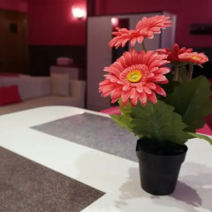 Отель Aparthotel Résidence Bara Midi 3* Улучшенные апартаменты с различными типами кроватей фото 4