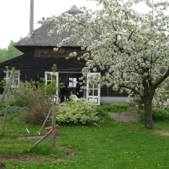 Отель Cornucopia Cottage Коттедж с различными типами кроватей фото 4