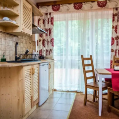 Отель Aparthotel Pod Nosalem Люкс фото 2