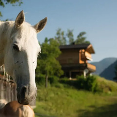 Отель Ferienhäuser Oetztal фото 4