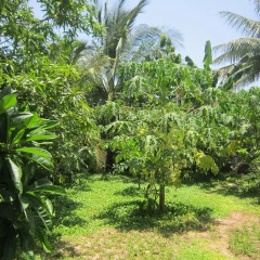 Отель Local Beach Homestay фото 15