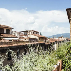 Milu Hotel 4* Улучшенный номер с различными типами кроватей фото 3