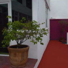 Апартаменты Sunflower Apartment near Coyoacan District Студия фото 6