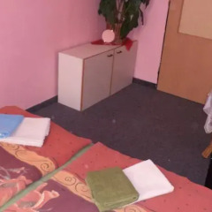 Hostel Kaktus комната для гостей фото 4