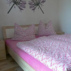 Отель Ferienwohnung Am Elberadweg Германия, Дрезден - отзывы, цены и фото номеров - забронировать отель Ferienwohnung Am Elberadweg онлайн комната для гостей фото 5
