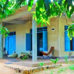 Отель Kataragama Homestay Номер категории Эконом с различными типами кроватей фото 8