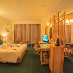 Green Hotel 4* Номер Делюкс с различными типами кроватей фото 2