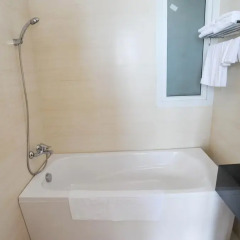 Dendro Hotel 3* Номер Делюкс с различными типами кроватей фото 15