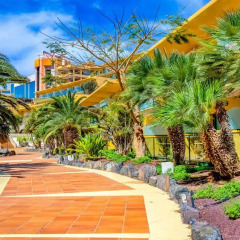 Отель SBH Club Paraíso Playa - All Inclusive 4* Стандартный номер с различными типами кроватей фото 2