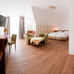 arte Hotel Wien Stadthalle 4* Стандартный номер с разными типами кроватей