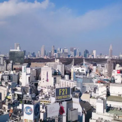Shibuya Excel Hotel Tokyu 3* Стандартный номер с различными типами кроватей фото 15