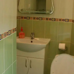 Апартаменты Furnished Apartments on Universitet ванная