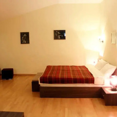 Hotel Central Люкс с различными типами кроватей фото 10