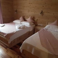 Sedir Palas Hotel 3* Стандартный номер с различными типами кроватей
