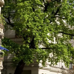 Hotel Riehmers Hofgarten фото 3
