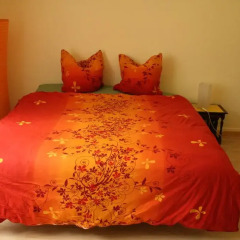 Отель Guesthouse Rudenz Bed And Breakfast детские мероприятия