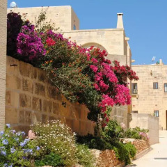 Отель Gozo Hills Bed and Breakfast фото 19
