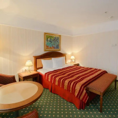 Корстон Роял Отель Казань 5* Номер Делюкс с разными типами кроватей фото 4