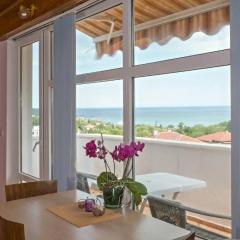 Отель Guest House Spiro near Botanical Garden комната для гостей