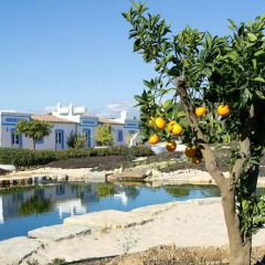 Отель Casa Flor de Sal бассейн фото 3