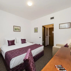 Garni Hotel Le Petit Piaf 3* Стандартный номер с различными типами кроватей