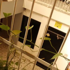 Hotel Marsol развлечения