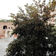 Отель Relais At Via Veneto Италия, Рим - отзывы, цены и фото номеров - забронировать отель Relais At Via Veneto онлайн фото 2