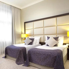 Hotel KING DAVID Prague 5* Номер Делюкс с 2 отдельными кроватями фото 2