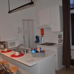 Апартаменты Apartment Sariks Place в номере