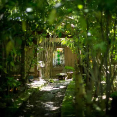 Отель Kurokawa Onsen Oyado Noshiyu Япония, Минамиогуни - отзывы, цены и фото номеров - забронировать отель Kurokawa Onsen Oyado Noshiyu онлайн фото 8