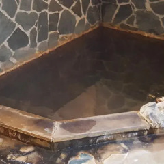 Отель Ryokan Maruya Хидзи бассейн фото 2