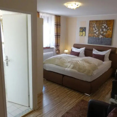Hotel Villa Konstanz 3* Стандартный номер фото 6
