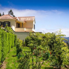 Отель Casas da Quinta Португалия, Машику - отзывы, цены и фото номеров - забронировать отель Casas da Quinta онлайн фото 5