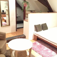 Апартаменты Metropolis Prague Apartments-zlaty Dvur Прага комната для гостей фото 4