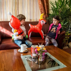 Bariakov Hotel в номере