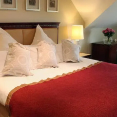 Bunratty Castle Hotel and Angsana Spa 4* Номер Делюкс с различными типами кроватей фото 4