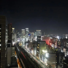 Dai-ichi Hotel Tokyo балкон